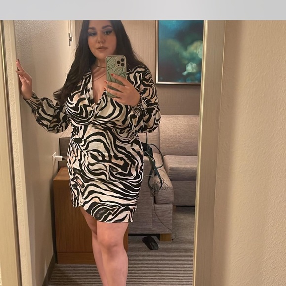 Anthropologie Black and White Zebra Long Sleeve Dress - Picture 2 of 3